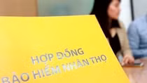 Thanh lọc thị trường bảo hiểm nhân thọ bằng cách nào? - Bài cuối