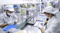 Truyền thông Áo ca ngợi Việt Nam ngày càng hấp dẫn các nhà đầu tư