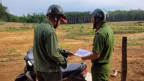 Vườn cao su của một người dân bị huỷ hoại, nghi bị trả thù