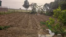 Bán đất trái phép, nguyên Chủ tịch xã cùng lãnh đạo 3 thôn bị khởi tố