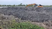 Vụ san ủi rừng ngập mặn ở Huế: Điều chỉnh dự án, cho phép doanh nghiệp thi công trở lại