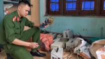 Mầm họa từ việc dùng kích điện bắt giun đất