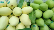 Việt Nam là thị trường cung cấp xoài lớn thứ 3 cho Hàn Quốc