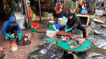 Thị trường thực phẩm sau Tết: Nguồn cung dồi dào, giá cả không tăng đột biến