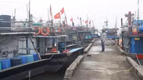 Chủ tàu cá “đỏ mắt” tìm lao động đi biển
