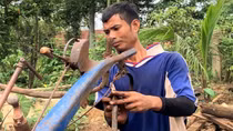 Người dân phẫn nộ, lên án nhóm giết người, tấn công trụ sở UBND xã ở Đắk Lắk