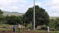 Hai công nhân thương vong khi sửa chữa tuyến dây 22Kv