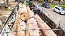 Khởi tố vụ án, bắt thêm 6 đối tượng