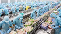Doanh nghiệp đẩy mạnh khai thác thị trường Á – Âu