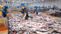 Tín hiệu tích cực trong xuất khẩu thủy sản