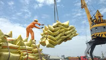 Việt Nam là nhà cung cấp có uy tín, chất lượng cho thị trường Indonesia