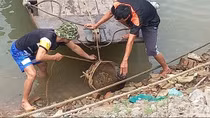 Phát hiện 1 quả bom lớn trên sông Đuống