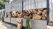 Đường đi của một số chất thải công nghiệp ở Bình Dương