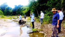 Tạm đình chỉ giải quyết nguồn tin tội phạm liên quan 5 trại chăn nuôi heo ở huyện Tuy An