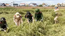 Khắc sâu lời Bác dạy qua mỗi chiến công, trong mỗi việc làm