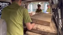 Tài xế ôtô “thông chốt” bỏ lại gỗ lậu