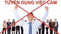 Cục Đối ngoại cảnh báo thông tin giả mạo tuyển dụng cán bộ
