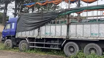 Tìm chủ sở hữu xe ô tô sử dụng giấy tờ giả