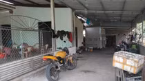 Cãi vã trong cuộc nhậu đầu năm, cha chém con trai tử vong