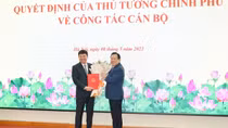 Phó Bí thư Thường trực Tỉnh ủy Quảng Ninh giữ chức vụ Chủ tịch HĐTV Tập đoàn TKV