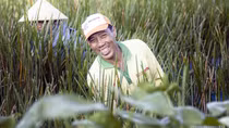 Miền Tây - Như mối tình đầu tôi đã đánh rơi...