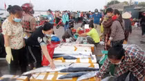 Chợ cá làng tôi
