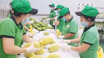 Xuất khẩu những tháng cuối năm sẽ tiếp tục khởi sắc