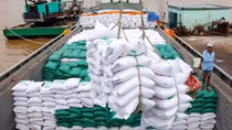Cả nước xuất khẩu hơn 4,48 triệu tấn gạo