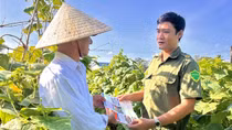 Bình yên nơi xóm đạo