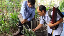 Sốt xuất huyết tại Hà Nội vẫn tăng cao