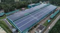 Tháo gỡ khó khăn về PCCC cho cơ sở kinh doanh xăng dầu và sử dụng điện mặt trời