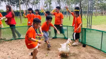 Hà Nội phát triển các điểm du lịch nông nghiệp, nông thôn
