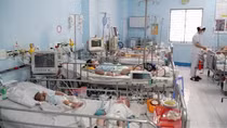 Cung ứng 6.000 lọ thuốc điều trị bệnh tay chân miệng cho các bệnh viện