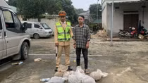 Giấu hàng chục cá thể tê tê và rắn trong xe chở chuối