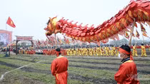 Rộn ràng trống Đọi ngày xuân