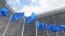EU - lát cắt trong những mục tiêu chiến lược