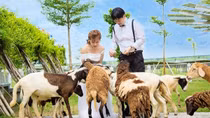 Điều chưa biết về địa điểm chụp ảnh cưới hút khách ở An Giang