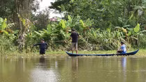 Vây bắt cá sấu lạc vào ao cá nhà dân