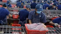Doanh nghiệp có nguy cơ bị phạt thuế do đơn vị bán hàng bỏ trốn
