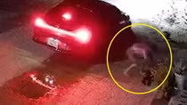 Xe ô tô lượn qua một vòng, hàng loạt nhà dân bị mất trộm chó