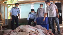 Ngăn chặn hơn 1,7 tấn thịt lợn bốc mùi chuẩn bị đưa vào các bếp ăn