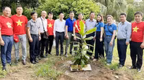 Nơi ấy Bạch Long Vĩ