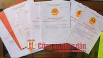 Số tiền bị tham ô tại Đại học Bách khoa Đà Nẵng lên đến trên 136 tỷ đồng