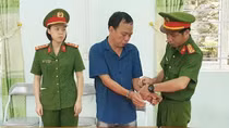Tổ chức khai thác vàng trái phép khiến người làm thuê rơi xuống giếng tử vong
