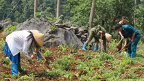 Giữ yên bình mảnh đất “phên giậu” Cao Bằng
