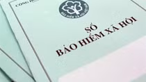 Hơn 5.800 người lao động ở Phú Yên rút bảo hiểm xã hội một lần trên 174 tỷ đồng