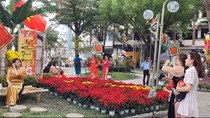 Khánh Hòa hút du khách những ngày Tết Quý Mão