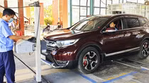 Xe miễn đăng kiểm lần đầu vẫn phải chờ dài cổ...