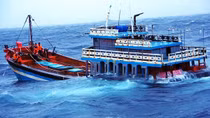 Kịp thời cứu vớt 8 ngư dân trên tàu cá bị chìm