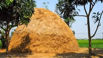 “Đứa... đốt rơm” là “đứa” nào?